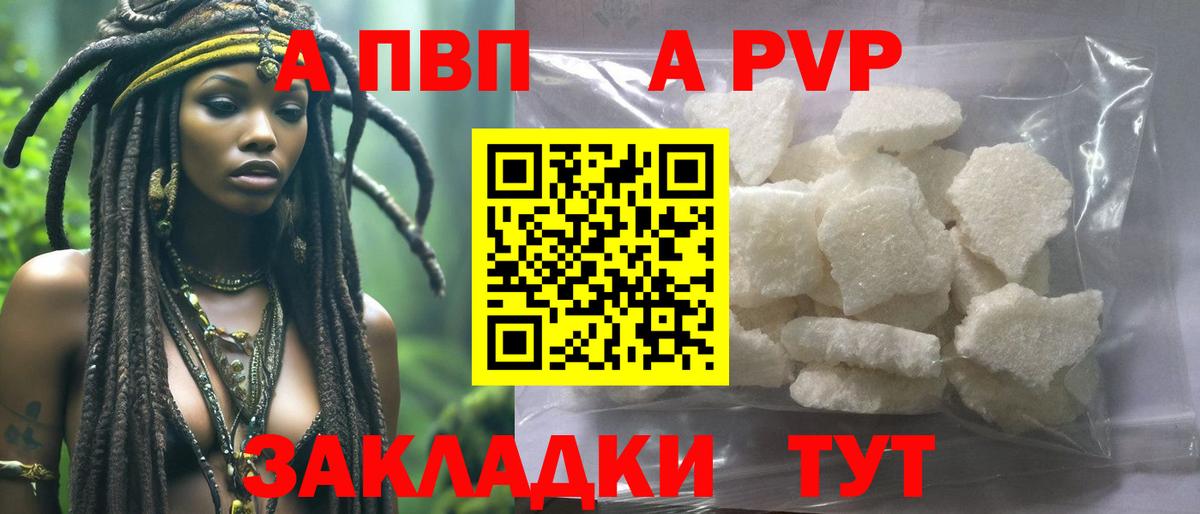 A PVP СК КРИС Ставрополь