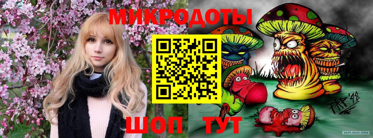 Ставрополь  даркнет сайт  Вход с VPN  Галлюциногенные грибы Cubensis 