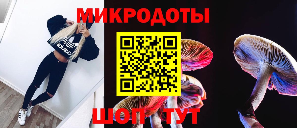 Псилоцибиновые грибы Psilocybe Ставрополь